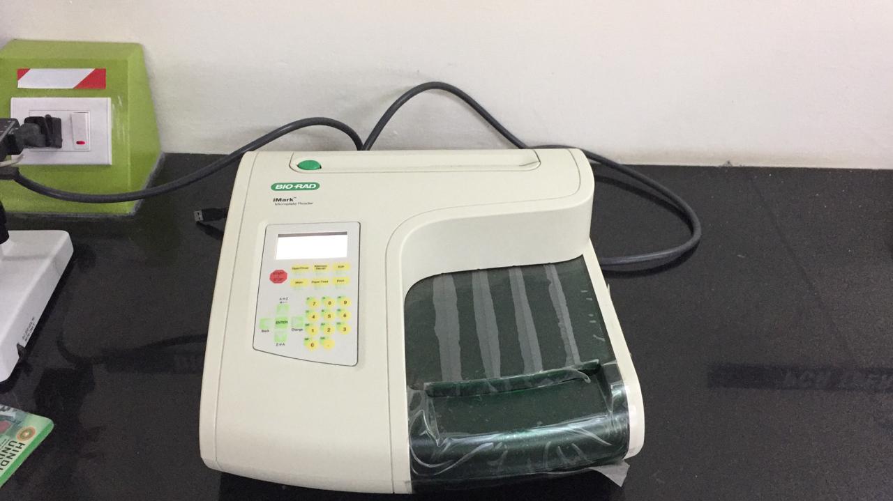 Microplate reader.jpg